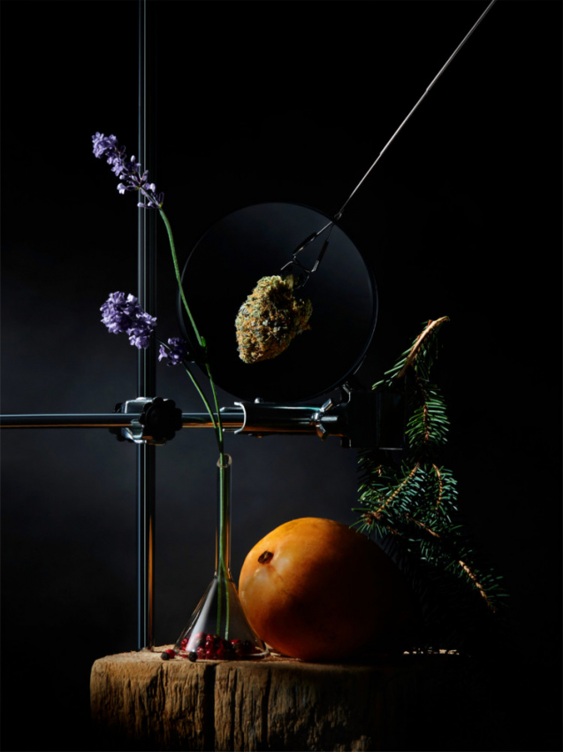 JAMES REIGER - PORTFOLIO - PROPS_PRODUCT